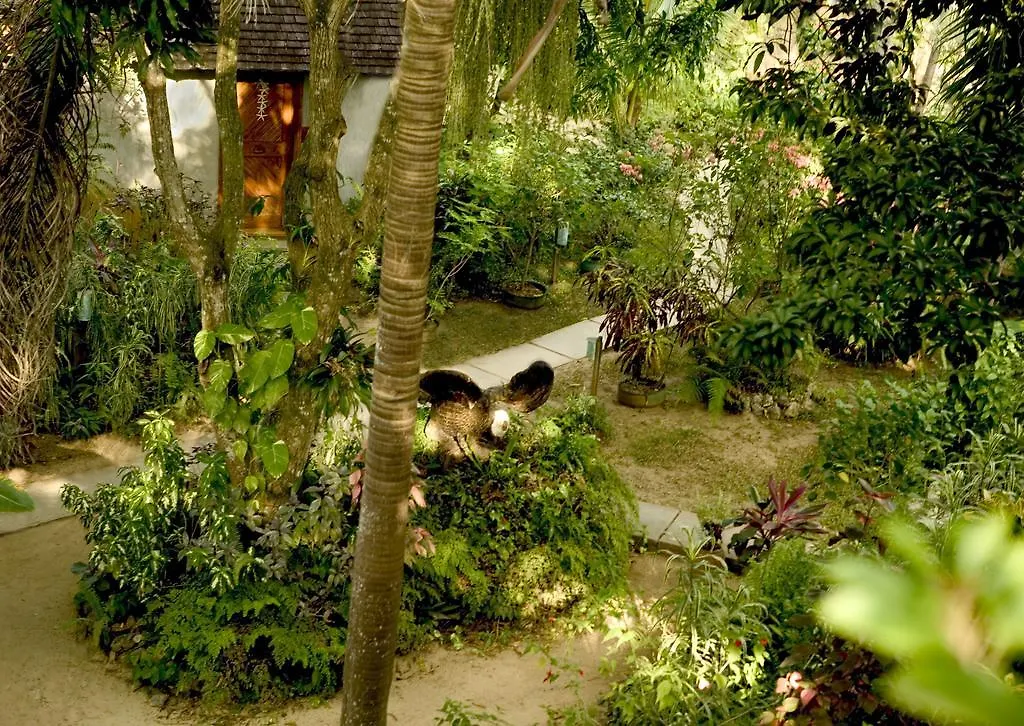 Whistling Bird Hotel Negril